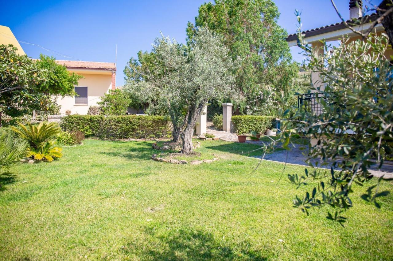 Bed and Breakfast Il Giardino Degli Ulivi Santa Maria Coghinas Экстерьер фото